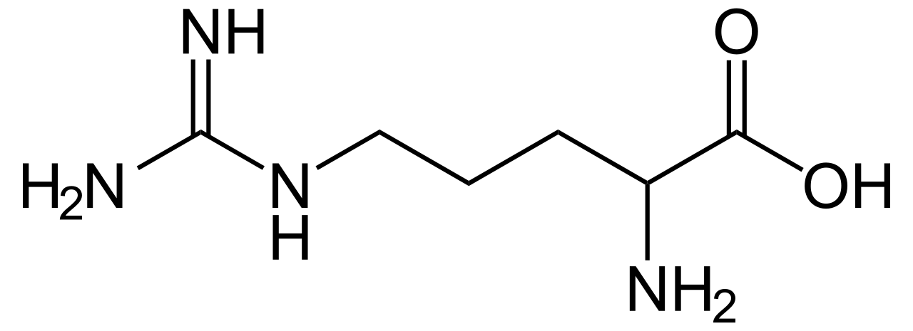 <p>positively charged, basic</p><p>R, Arg</p>
