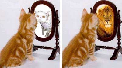 <p>Perceptible (adjective)</p>