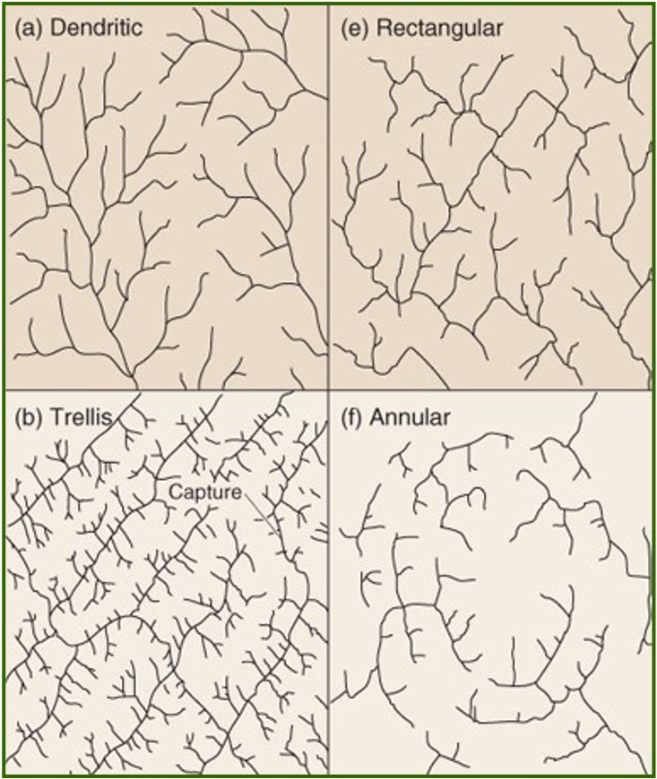 <p>Dendritic: drainage patterns where streams branch like the limbs of a tree; forms on uniform rock or gentle slopes.</p><p>Rectangular: drainage pattern where streams follow right-angle bends, usually controlled by joint or fractures in the rock.</p><p>Trellis: drainage pattern where paralell main rivers are joined by smaller streams at near right angles.</p><p>Annular: drainage pattern where streams form concentric circular paths around a central high area. Occur on domes. </p>