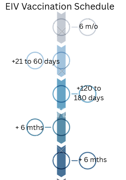 <p>Start at 6 months, with a second vaccine 21-60 days after the first, a third 120-180 days after the second, then every 6 months.</p>