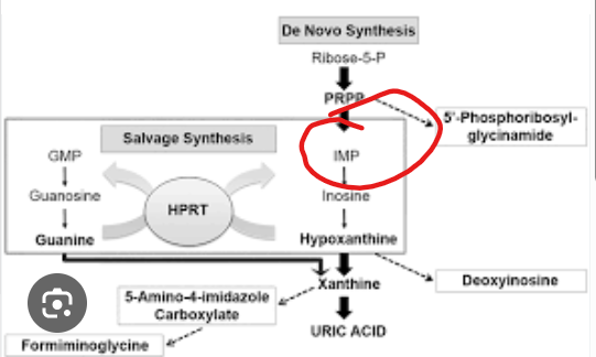 <p>The de novo purine synthesis pathway is long, involving many intermediate steps before the first complete purine nucleotide is formed.</p><p>What is the name of the first,complete purine nucleotide ?</p>
