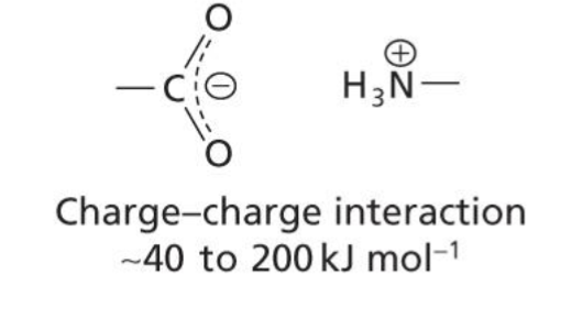 <p>An electrostatic non-covalent force between two molecules of opposite charge </p>