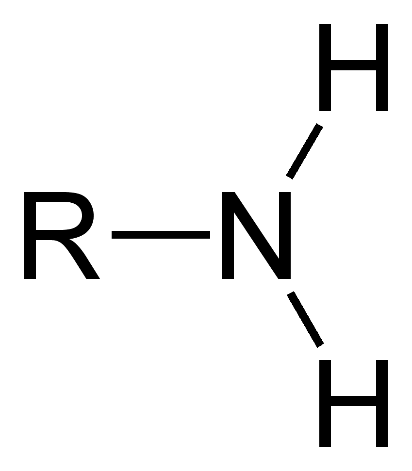 <p>Amino group structure</p>