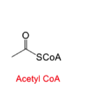 <ul><li><p>Used by enzymes for recognition </p></li><li><p>Acetyl CoA</p></li></ul><p></p>