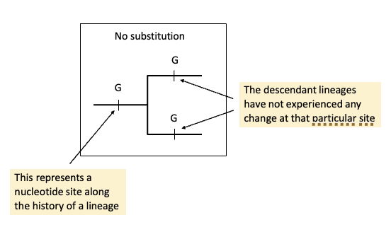 <p>How can these substitutions be visually represented? No, single, parallel, coincident, multiple, and back. </p>