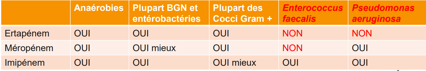 <p>FAUX</p><p>également, le méropénem ne couvre pas l’enterococcus faecalis</p><p></p>