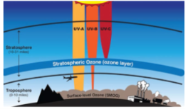 <p>UVA</p><p>UVB<br>UVC</p>
