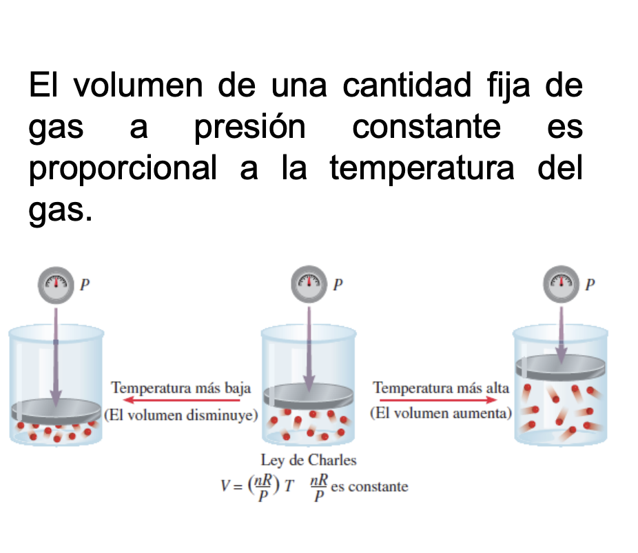 <p>Relaciona la temperatura y el volumen</p><p></p><p>El volumen de una cantidad fija de gas a presion constante es proporcional a la temperatura del gas</p>