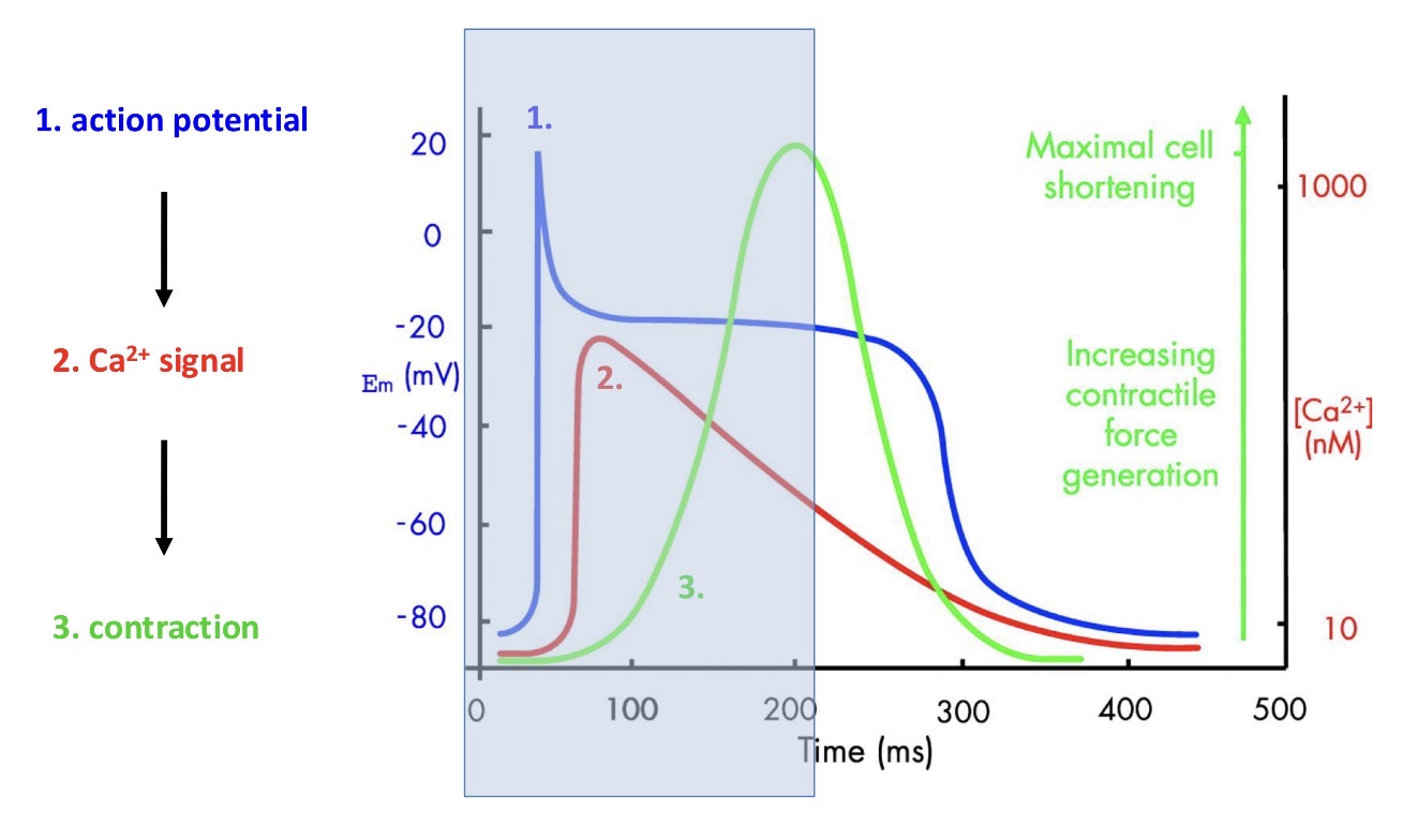 <p>Explain what happens here:</p>