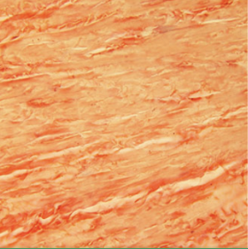 <p>Tissue?</p>
