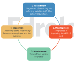 <p>1. Recruitment: Process of attracting and selecting suitable staff</p><p>2. Development: The process of improving the skills of the staff</p><p>3. Maintenance: The methods used to keep staff.</p><p>4. Separation: The ending of a relationship between an employee and the business</p>