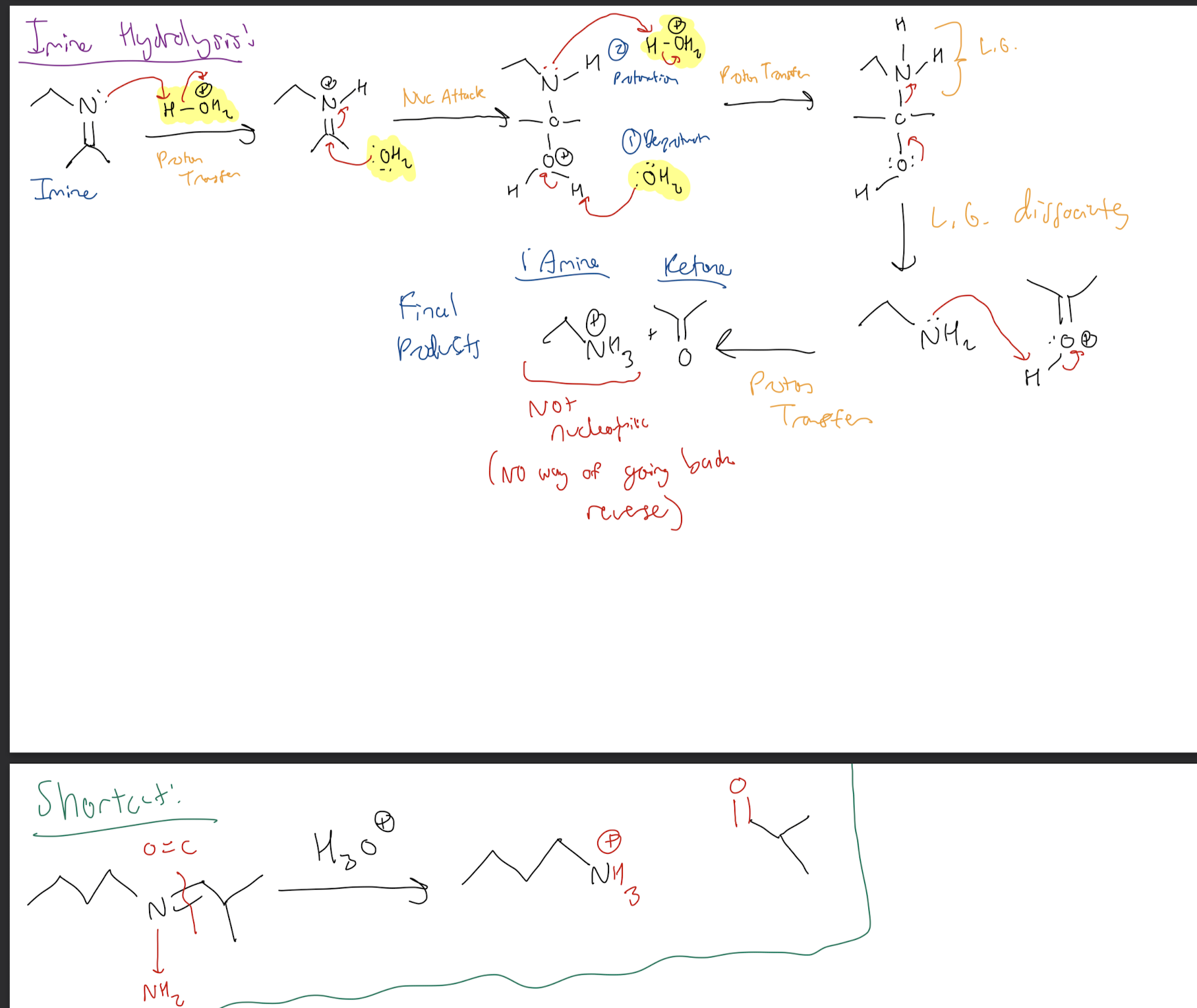 <p>1) H3O+ Proton Transfer</p><p>2) H2O Attaches to Carbon Double Bond to N</p><p>3) H2O Deprotonated, then NHR Protonated</p><p>4) Form Carbonyl, Amine leaves as L.G</p><p>5) Amine L.G deprotonates H from Carbonyl </p><p>6) Ketone + Amine NH3+</p>