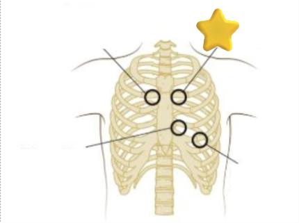 <p>What is this?</p>