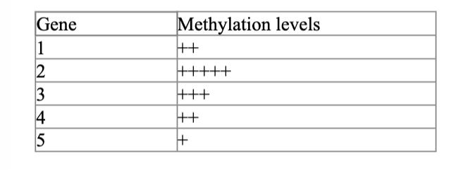 <p>You are a researcher studying the genetic basis of colon cancer. You have been working with a colon cancer cell</p><p>line to determine the expression levels of different genes that might contribute to cancer formation. You obtain the</p><p>DNA methylation status of five genes of interest (the data are shown in the table below). The plus (+) sign indicates</p><p>the level of DNA methylation; more plus signs correlate with increased methylation levels.</p>