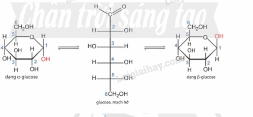 <p>Hình ảnh trên của phân tử nào?</p>