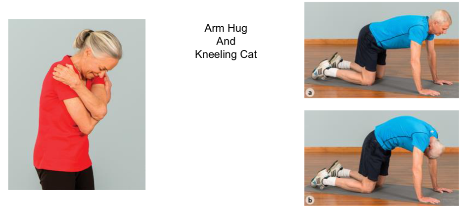 <p>arm hug and kneeling cat</p>