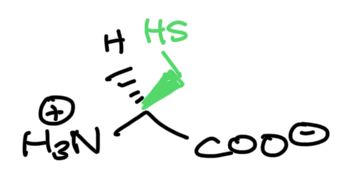 <p>Amino acid</p>