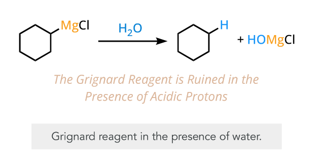 <p>alkane</p>