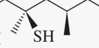 <p>7 functional groups in biology 7)</p>