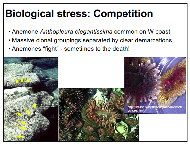 <p>how do marine organisms deal with biological competition?</p>