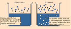 <p>📌 DEFINICIÓN:</p><p>Es la presión absoluta máxima que ejerce el vapor cuando hay equilibrio líquido-vapor a temperatura constante ⚖️</p><p>Ejemplo:</p><p>Agua a 80°C 💧 → Pₐ = 355 mmHg 📏</p><p>📌 PROPIEDADES:</p><p>🔹 Propiedad INTENSIVA 🎯</p><p>NO depende de:</p><p>Cantidad de líquido 🚫📏</p><p>Cantidad de vapor 🚫💨</p><p>Volumen del recipiente 🚫📦</p><p>🔹 SÍ depende de:</p><p>Temperatura 🌡️</p><p>Naturaleza del líquido 🧪</p>