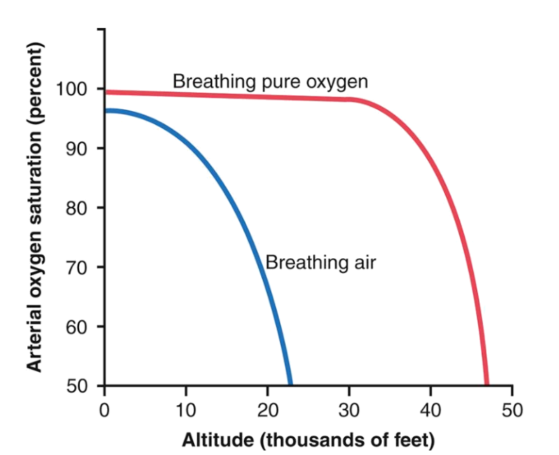 <p>What happens to arterial O₂ saturation when breathing pure O₂?</p>