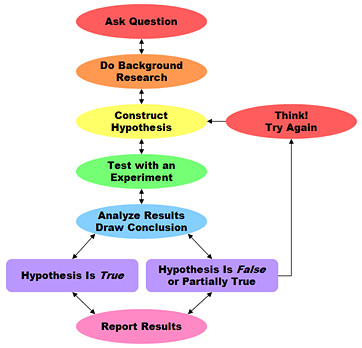 <p><span>Scientific Method</span></p>