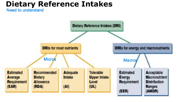 <ul><li><p>Standard for how much intake of nutrients a person should take</p></li><li><p>Standard depends on age, gender, and their overall health (healthy adult or one with chronic/disease)</p></li></ul><p></p>