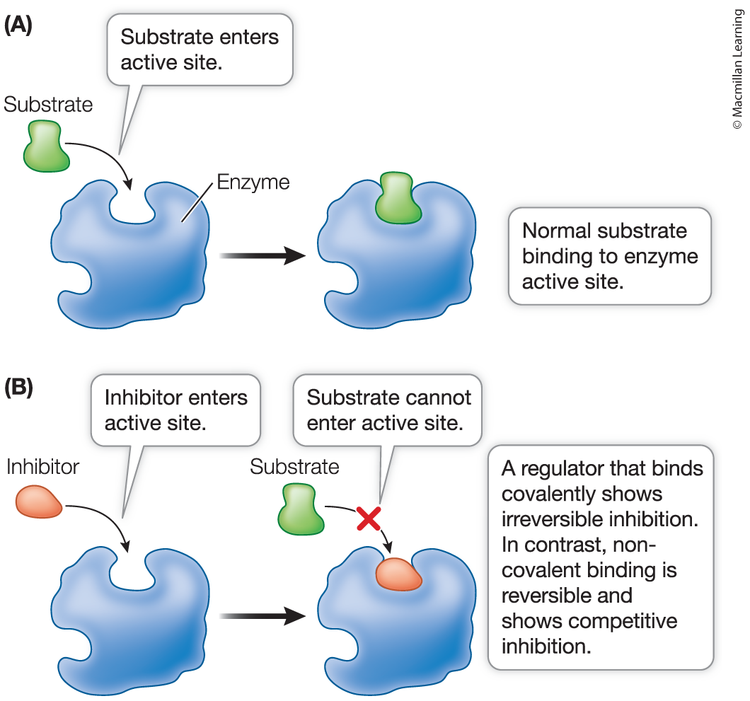 <p>Inhibitor</p>