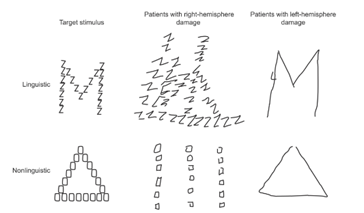 <p>Problemen met globale vorm, maar wel de lokale onderdelen nog goed zien</p>