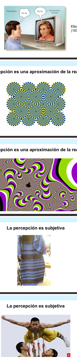 <p>1976</p><p>→ demuestra que:</p><ul><li><p>Nuestra percepción es:</p><ul><li><p>Una <strong><u>aproximación del estímulo real</u> </strong>que hay en el entorno, no es exactamente lo que ocurre en la realidad.</p></li><li><p>Entonces, nuestra percepción es falible y subjetiva</p></li></ul></li></ul><p></p><p>Vemos diferentes estímulos</p><p>Si suponemos el ejemplo de un niño mirando la tele, este ve a una persona que se supone que está diciendo Ba Ba, pero el niño ve los labios y percibe Da Da - tiene que ver con cómo recibimos el mensaje y de cómo lo percibimos.</p><p>Se dice que es más fácil aprender una lengua a través de una persona que conoces cercana que de una nueva, ya que de la cercana tienes la voz registrada, el como hablan, etc.</p><p></p>