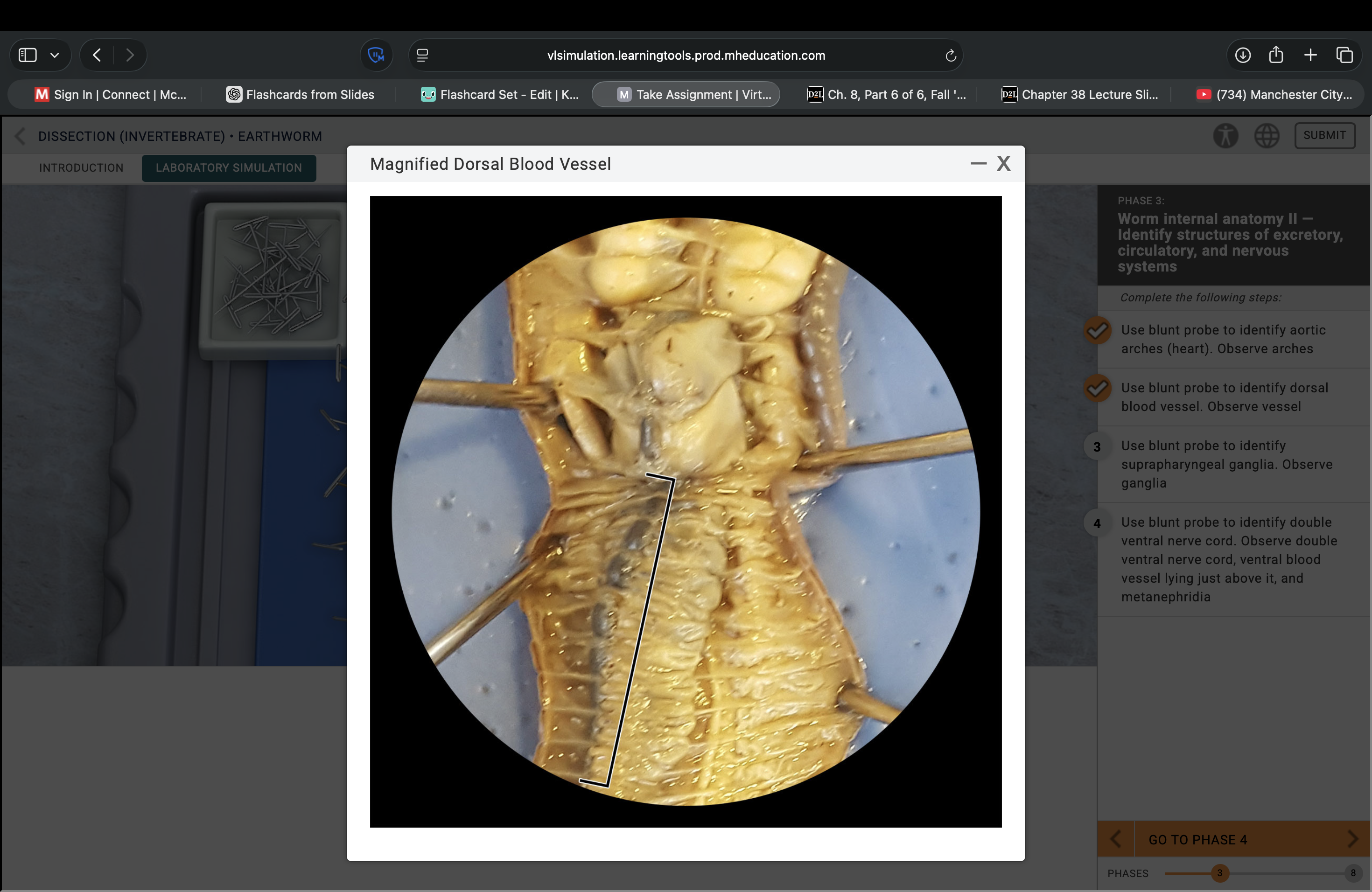 <p>What structure is this pointing to?</p>