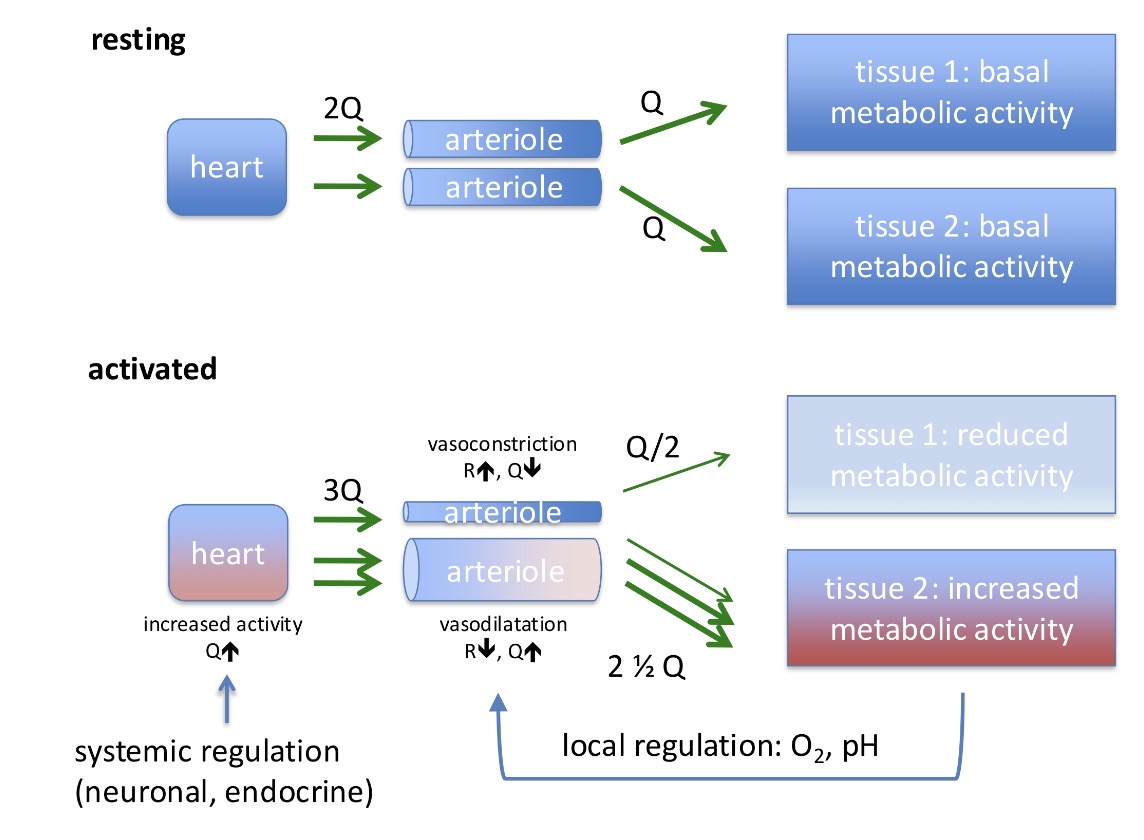 <p>Explain what’s going on in this image</p>