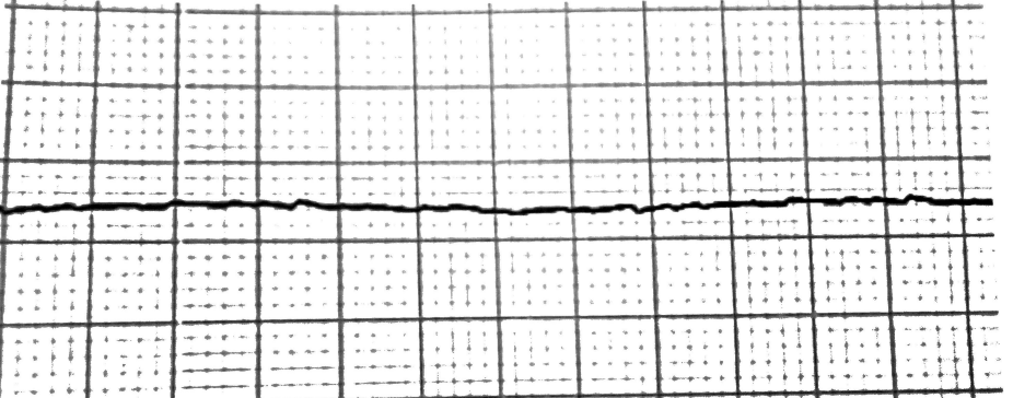 <p>What rhythm is this + bpm</p>