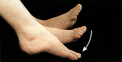 <p>ankle plantar flexion, sagittal, frontal</p>