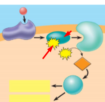 <p>define+whats happening</p>
