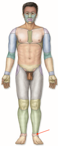 <p>what is this section called?</p>