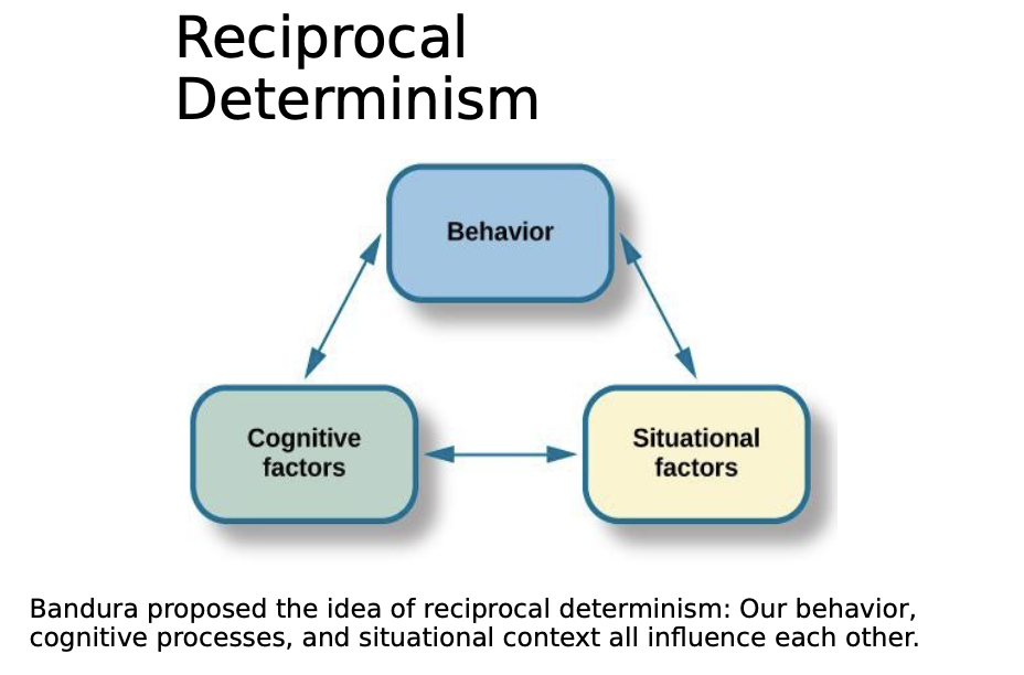 <p>Reciprocal determinism</p>