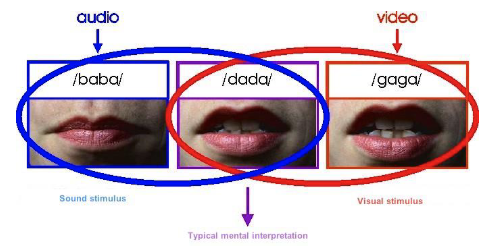 <p><span data-name="black_small_square" data-type="emoji">▪</span><span>We use visual cues from lip reading to help segment speech<br></span><span data-name="black_small_square" data-type="emoji">▪</span><span> What you see can influence what you hear<br></span><span data-name="black_small_square" data-type="emoji">▪</span><span> McGurk effect<br></span><span data-name="black_small_square" data-type="emoji">▪</span><span> Perceptual illusion created when combining auditory and visual components from two different sounds</span></p>