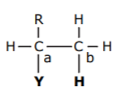 <p>Identify the orientation</p>