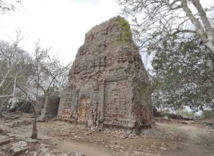 term image