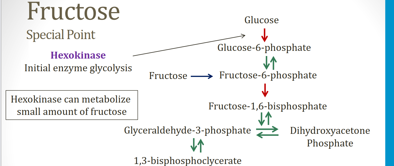 <p>deficiency of fuctokinase</p><p>benign condition but fructose appears in urine (urine dipstick not identify)</p><p>not symptoms because hexokinase becomes first pathway for converting fructose to F6P</p>