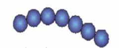 <p>What would this be known as?</p>