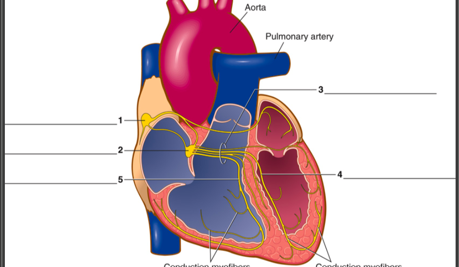 <p>2</p>