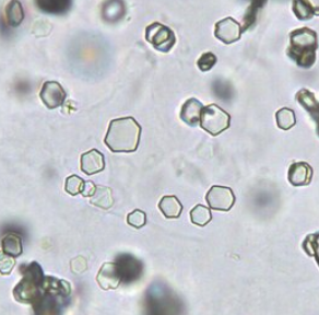 <p>what crystal is this? acidic or alk?</p>