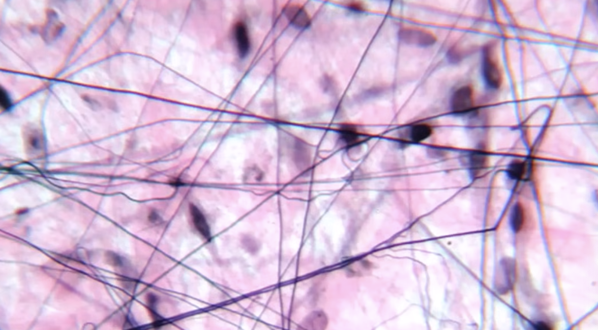 <p>what is this? </p>