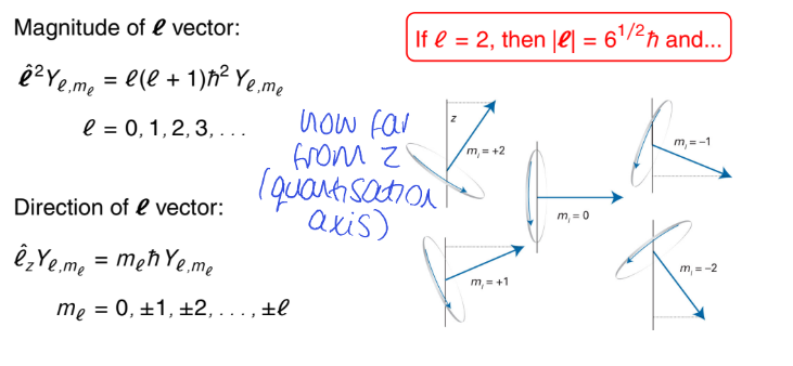 <p>how many allowed values of m<sub>ℓ</sub> are there? what does this mean about orientation?</p>
