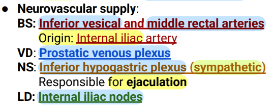 <p>Prostate</p><p>*Prostatic venous plexus drains into Internal Iliac veins</p>