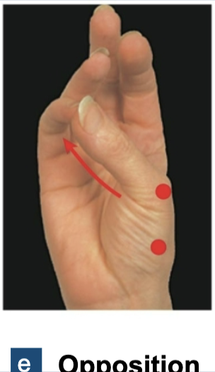 <p>Oppostion (Special Movements)</p>
