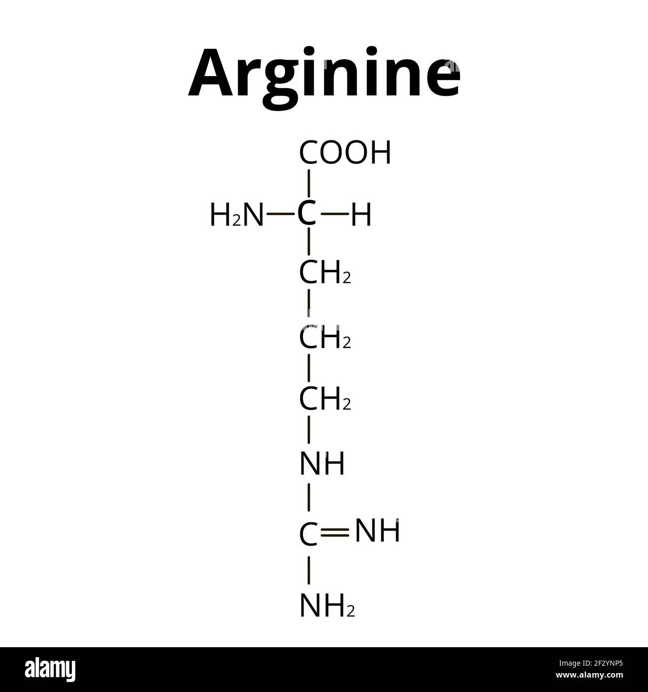 <p>Arginine</p>